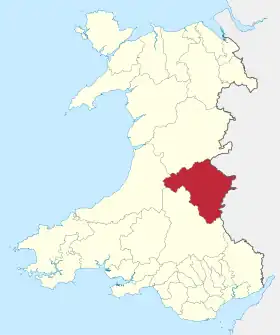 District du Radnorshire
