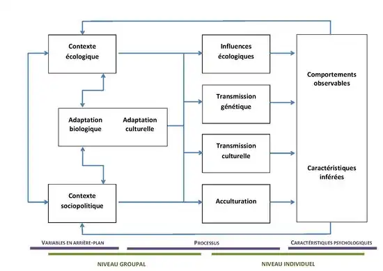 Modèle éco-culturel de John W. Berry (Adapté de Segall & al. (1999))