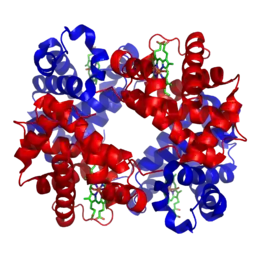 Description de l'image 1GZX Haemoglobin.png.