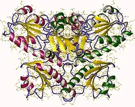 Image illustrative de l’article Calséquestrine