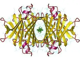Image illustrative de l’article Transthyrétine