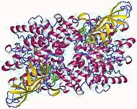Image illustrative de l’article Acyl-coenzyme A déshydrogénase