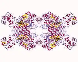 Image illustrative de l’article Glutaminase