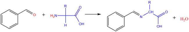 Réaction d'un acide aminé avec un aldéhyde aromatique.