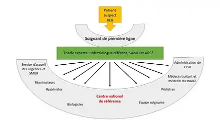  schéma montrant comment le soignant de première ligne s'appuie d'abord sur une triade d'experts composée de l'infectiologue référent de sa région, du SAMU et de l'agence régionale de la santé et ensuite sur la chaîne des intervenants nécessaires
