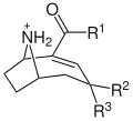 Structure moléculaire générale des anatoxines
