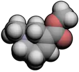 Image illustrative de l’article Arécoline