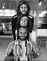 Robin (au milieu) et Maurice Gibb (en bas), avec leur frère Barry Gibb (en haut), du groupe The Bee Gees