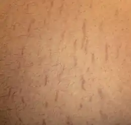 Description de cette image, également commentée ci-après