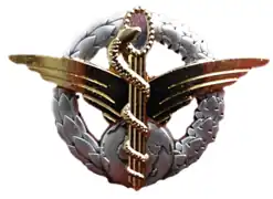 Brevet d'infirmier convoyeur de l'armée de l'air (ICvAA).