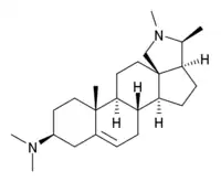 Image illustrative de l’article Conessine