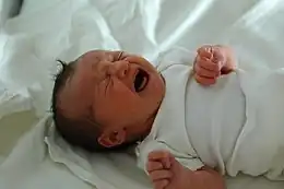 Description de cette image, également commentée ci-après