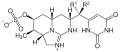 Structure moléculaire générale des cylindrospermopsines (Ce n’est pas une neurotoxine, mais plutôt une cytotoxine)