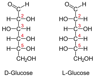 Projection de Fischer des deux énantiomères du glucose.