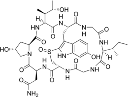 Image illustrative de l’article Gamma-Amanitine