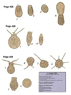 Description de cette image, également commentée ci-après