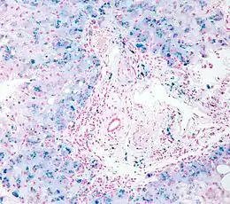 Description de cette image, également commentée ci-après