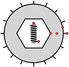 Description de l'image Herpesvirales virion diagram.jpg.