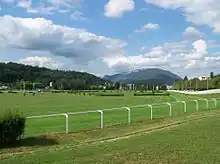 Photographie en couleurs de la piste engazonnée d'un hippodrome.