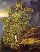 Birk i storm (Johan Christian Dahl, 1849). Musée d'art de Bergen (Norvège).