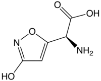 Image illustrative de l’article Acide iboténique