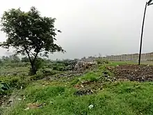 Photo d'un monticule un peu herboré et surmonté d'un arbre feuillu sur lequel ont été jetés des détritus.