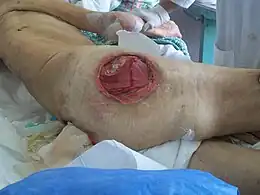 Description de l'image Imagen Bob 108.jpg.