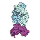 Image illustrative de l’article Isatuximab
