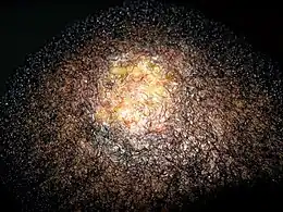 Description de cette image, également commentée ci-après