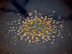 Description de cette image, également commentée ci-après