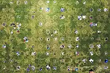 Alignements de petits cercles blancs, certains vides, certains occupés par une personne.