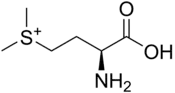 Image illustrative de l’article S-Méthylméthionine