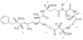 Structure moléculaire générale des microcystines