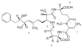 Structure moléculaire générale des nodularines