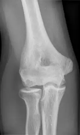 Description de l'image Panner 16J.png.