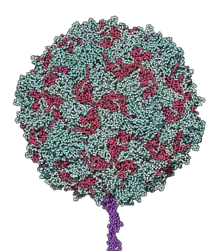 Boule dont la surface comprend de petites formes géométriques colorés.