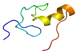 Image illustrative de l’article GATA1