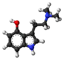 Image illustrative de l’article Psilocine