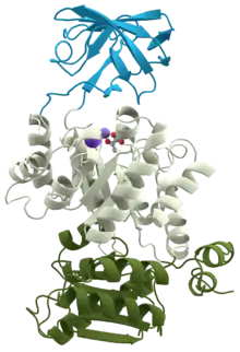 Description de cette image, également commentée ci-après