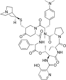 Image illustrative de l’article Quinupristine-dalfopristine