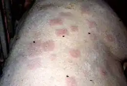 Description de cette image, également commentée ci-après