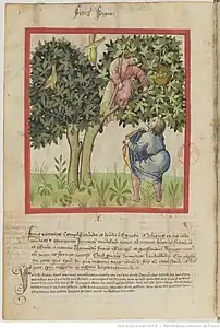 BnF Paris, Lat. 9333