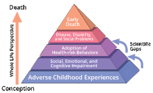 Pyramid with horizontal layers representing, in ascending order, Adverse Childhood Experiences; Social, Emotional, and Cognitive Impairment; Adoption of Health-risk Behaviors; Disease, Disability, and Social Problems; and Early Death. A vertical arrow represents the course of life beginning at the base and moving upward. Smaller arrows depict gaps in scientific knowledge about the links between Adverse Childhood Experiences and latter risk factors.