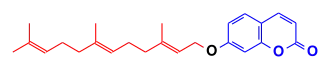 Formule topologique d'un composé aromatique bicyclique de type benzopyrane lié par un pont éther-oxyde à une chaîne de quinze carbones.