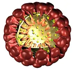 Description de l'image Vis2.jpg.