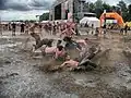Bain de boue au festival Przystanek Woodstock.