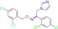 Image illustrative de l’article Oxiconazole