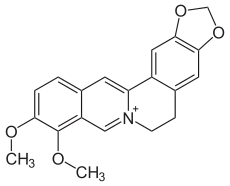 Image illustrative de l’article Berbérine