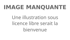 Description de cette image, également commentée ci-après