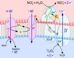Description de cette image, également commentée ci-après